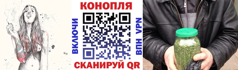 Какие есть наркотики Новосокольники ГАШИШ  Alpha-PVP  Мефедрон  COCAIN 