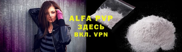 прущий лед Богданович
