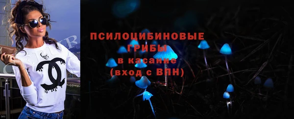 прущий лед Богданович