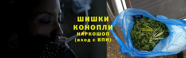 прущий лед Богданович