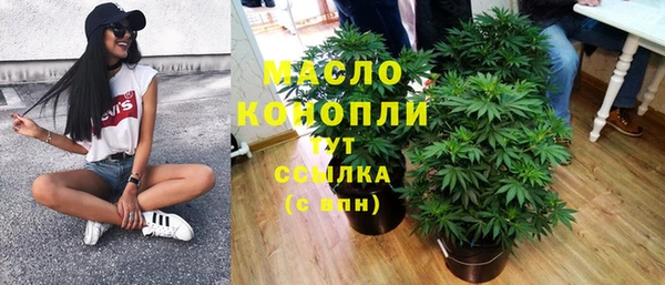 прущий лед Богданович