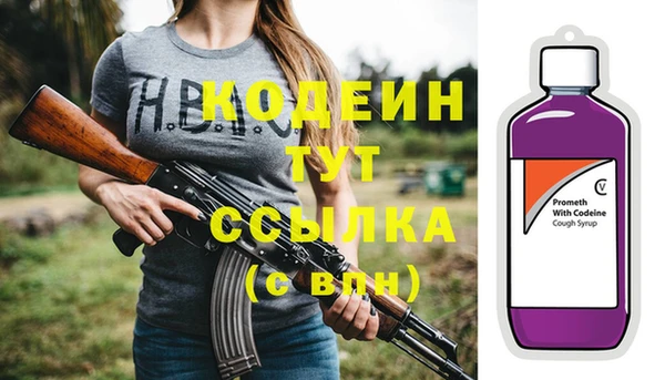 прущий лед Богданович