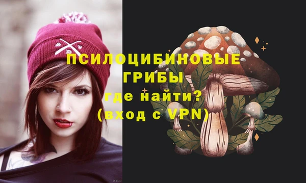 гидропоника Богородицк