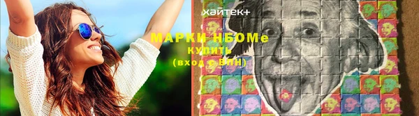 гидропоника Богородицк