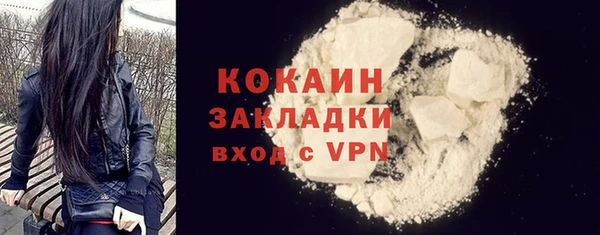 прущий лед Богданович