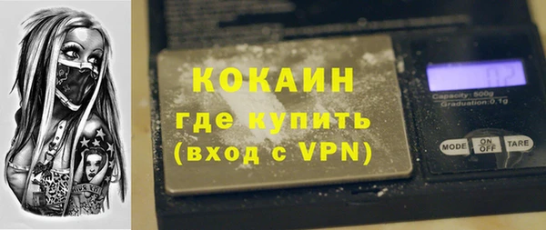 прущий лед Богданович