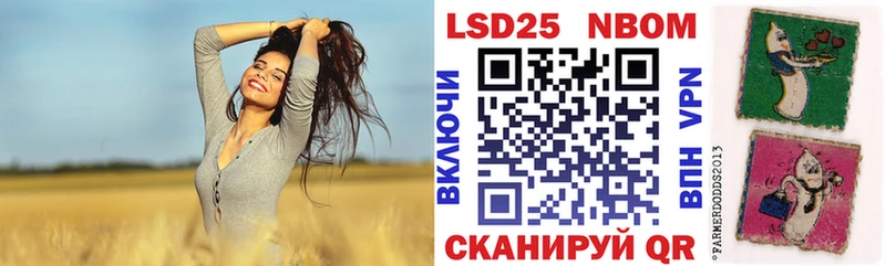 наркотики  Новосокольники  дарк нет как зайти  Марки N-bome 1500мкг 