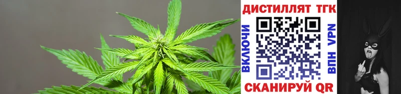 Дистиллят ТГК THC oil  где найти   Новосокольники 