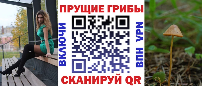 Псилоцибиновые грибы Cubensis  Новосокольники 