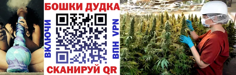 Конопля OG Kush  Новосокольники 